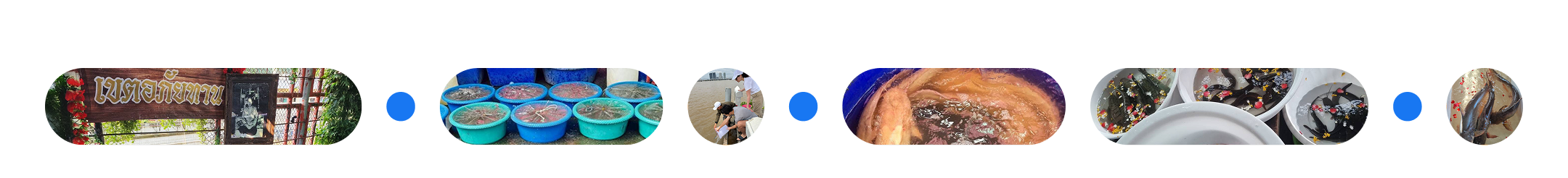 ติดต่อได้ 24 ชั่วโมง