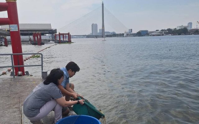 ปล่อยปลาวัดราชาธิวาส 🐟 จัดส่งฟรี · ฝากปล่อยแทนได้