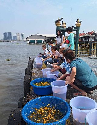ปล่อยปลาหน้าเขียงที่วัดเทวราชกุญชร บริการปล่อยปลาออนไลน์