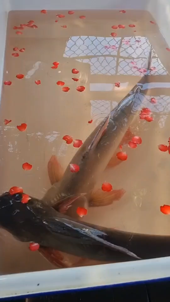 ตัวอย่างบริการของเรา