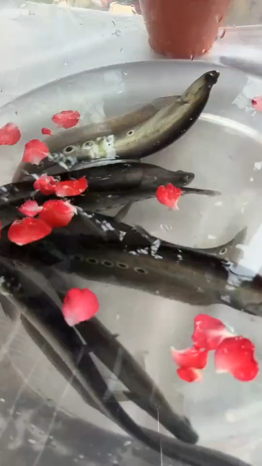 ตัวอย่างบริการของเรา