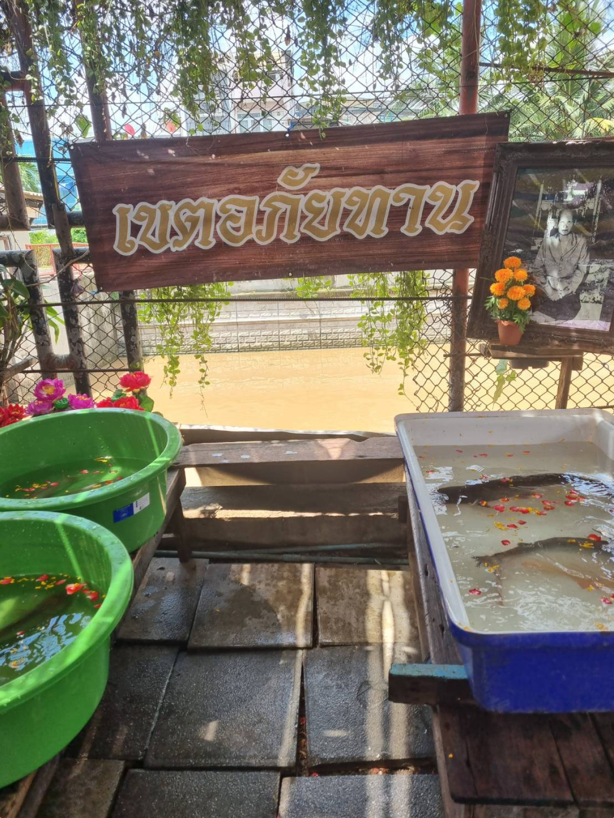 ตัวอย่างบริการของเรา