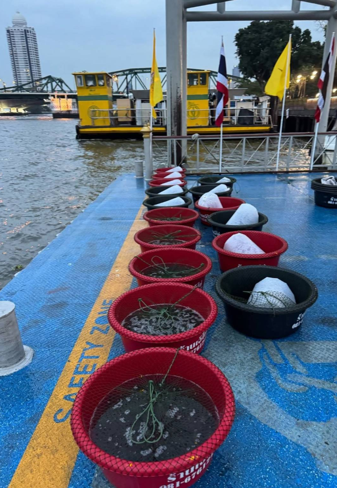 ตัวอย่างบริการของเรา