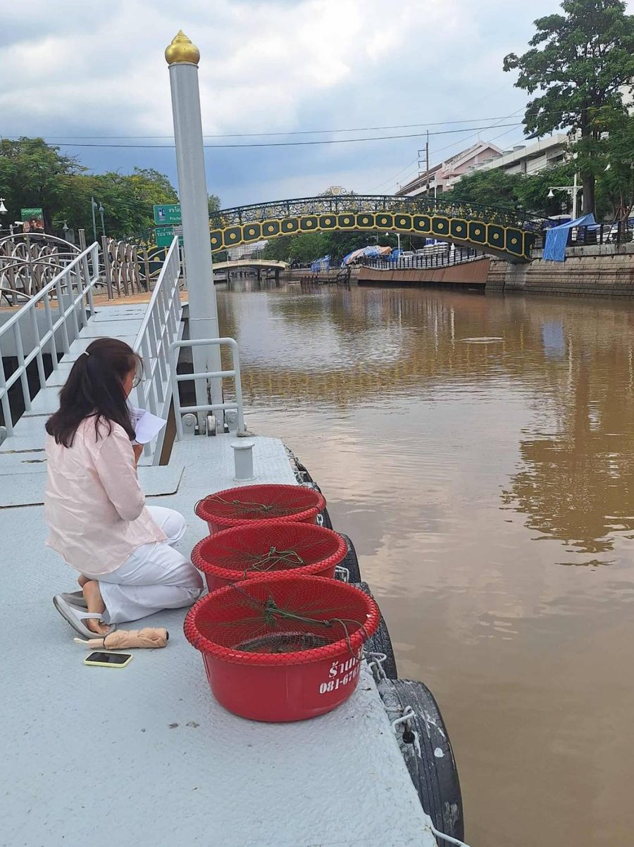ตัวอย่างปล่อยปลาออนไลน์ ปล่อยปลาปันสุข วัดเทวราชกุญชร