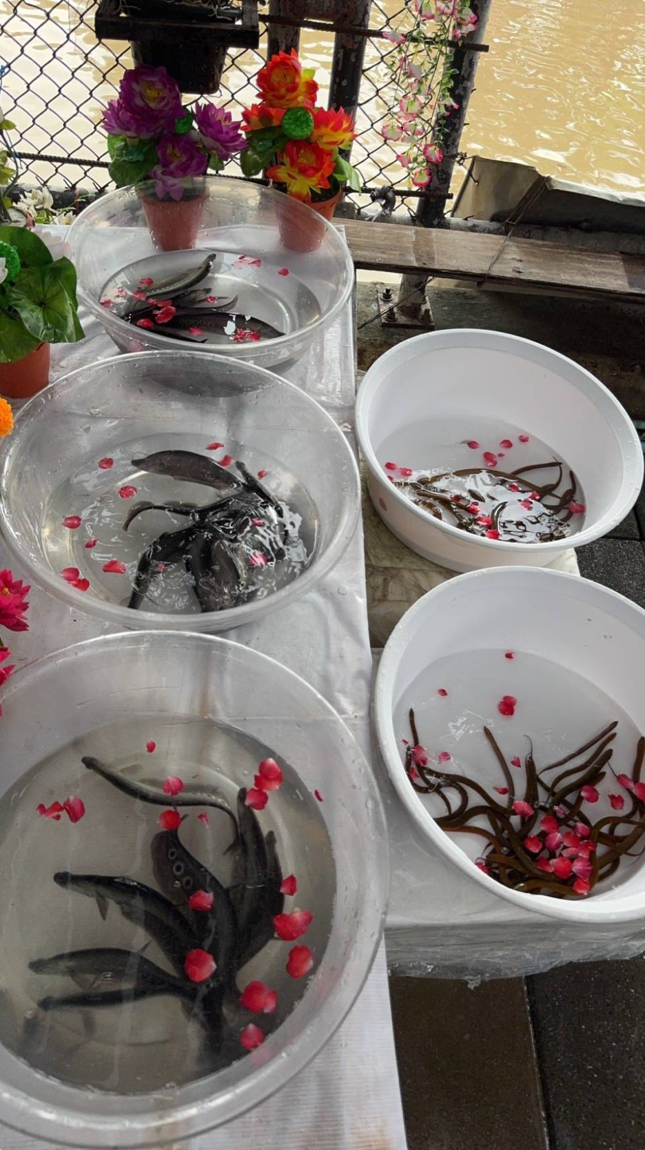 ตัวอย่างบริการของเรา